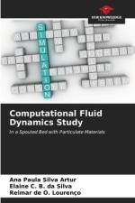 Computational Fluid Dynamics Study af Ana Paula Silva Artur