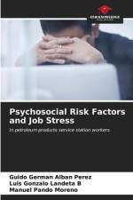 Psychosocial Risk Factors and Job Stress af Guido Germán Albán Pérez