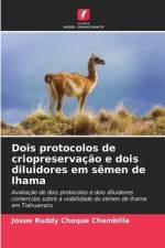Dois protocolos de criopreservação e dois diluidores em sêmen de lhama af Josue Ruddy Choque Chambilla