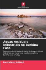 Águas residuais industriais no Burkina Faso af Barthélemy Bawar