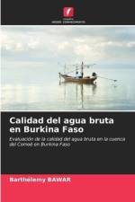 Calidad del agua bruta en Burkina Faso af Barthélemy Bawar