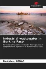 Industrial wastewater in Burkina Faso af Barthélemy Bawar
