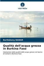 Qualità dell'acqua grezza in Burkina Faso af Barthélemy Bawar