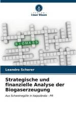 Strategische und finanzielle Analyse der Biogaserzeugung af Leandro Scherer
