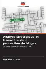 Analyse stratégique et financière de la production de biogaz af Leandro Scherer