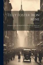 Tilly Foster Iron Mine: Testimony Taken On Behalf Of The Mine Owners, Briefs And Argument af Anonymous