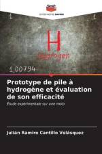 Prototype de pile à hydrogène et évaluation de son efficacité af Julián Ramiro Cantillo Velásquez