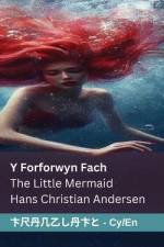 Y Forforwyn Fach / The Little Mermaid af Hans Christian Andersen