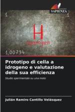Prototipo di cella a idrogeno e valutazione della sua efficienza af Julián Ramiro Cantillo Velásquez