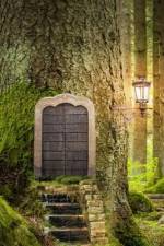 Forest Door, Discreet Internet Password Logbook, Large Print af Amatae
