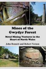 Mines of the Gwydyr Forest af Robert Vernon