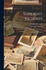 Sunlight Pictures af Edward Bierstadt