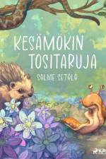 Kesämökin tositaruja af Salme Setälä