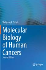 Molecular Biology of Human Cancers af Wolfgang A Schulz