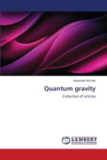 Quantum gravity af Alexander Klimets