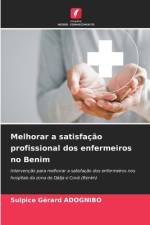 Melhorar a satisfação profissional dos enfermeiros no Benim af Sulpice Gérard Adognibo
