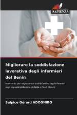 Migliorare la soddisfazione lavorativa degli infermieri del Benin af Sulpice Gérard Adognibo