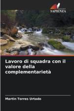 Lavoro di squadra con il valore della complementarietà af Martin Torres Urtado