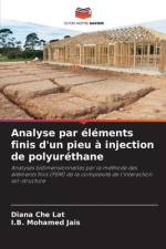 Analyse par éléments finis d'un pieu à injection de polyuréthane af Diana Che Lat