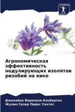 Agronomicheskaq äffektiwnost' noduliruüschih izolqtow rizobij na wike af Dzhanajna Veronezi Al'berton