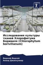 Issledowaniq kul'tury tkanej Hlorofituma Boriwilq (Chlorophytum borivilianum) af VIDZhAJ Vadhaj