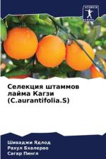 Selekciq shtammow lajma Kagzi (C.aurantifolia.S) af Shiwadzhi Yadlod