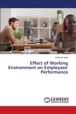 Effect of Working Environment on Employees' Performance af Solomon Abay