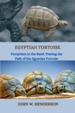 Egyptian Tortoise af John W Henderson