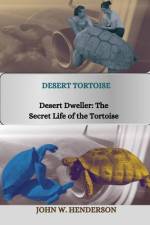 Desert Tortoise af John Raphael