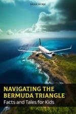Navigating the Bermuda Triangle af Shah Rukh