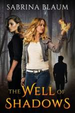 Well of Shadows af Sabrina Blaum