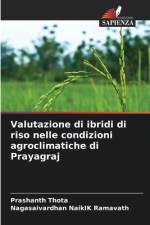 Valutazione di ibridi di riso nelle condizioni agroclimatiche di Prayagraj af Prashanth Thota