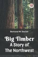Big Timber A Story Of The Northwest af Bertrand W. Sinclair