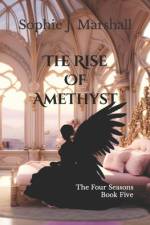 The Rise of Amethyst af Sophie J Marshall