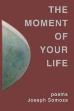 The Moment Of Your Life af Joseph Somoza
