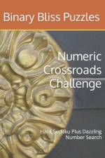 Numeric Crossroads Challenge af Binary Bliss Puzzles