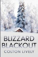 Blizzard Blackout af Colton Lively