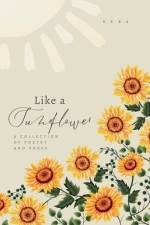 Like a Sunflower