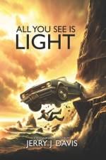 All You See Is Light af Jerry J Davis