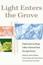 Light Enters the Grove af Charles Malone