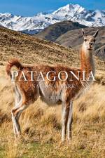 Patagonia National Park: Chile