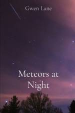 Meteors at Night af Gwen Lane
