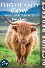 Highland Cow af A Arelt