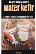 Learn how to make water kefir af Haley Wilson Wilson
