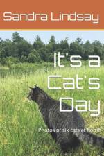 It's a Cat's Day af Sandra Lindsay