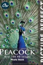 Peacock af A Arelt