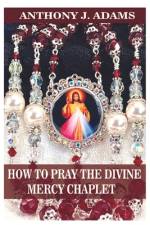 How to Pray the Divine Mercy Chaplet af Anthony J Adams