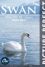 Swan af A Arelt