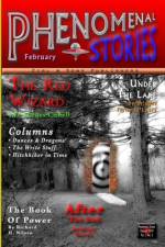 Phenomenal Stories, Vol. 2, No. 2 af Shawn M. Tomlinson