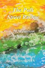 The Polk Street Review 2020 edition af Inc Community Education Arts